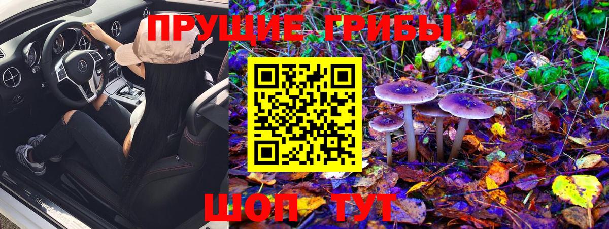 Галлюциногенные грибы Cubensis  Вход с VPN  Холмск 